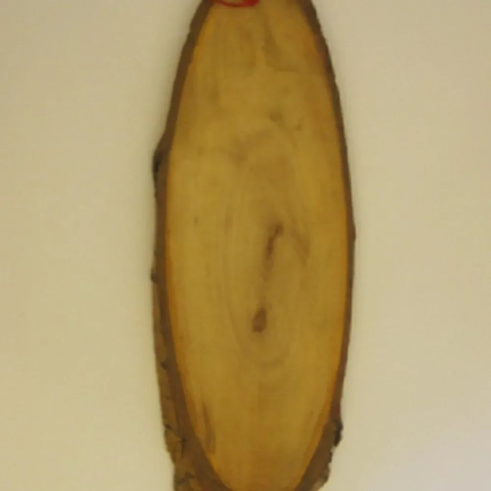 VINTAGE Wood Slice Woodburning Picture Ornament Warrior Chinese Oval Medium